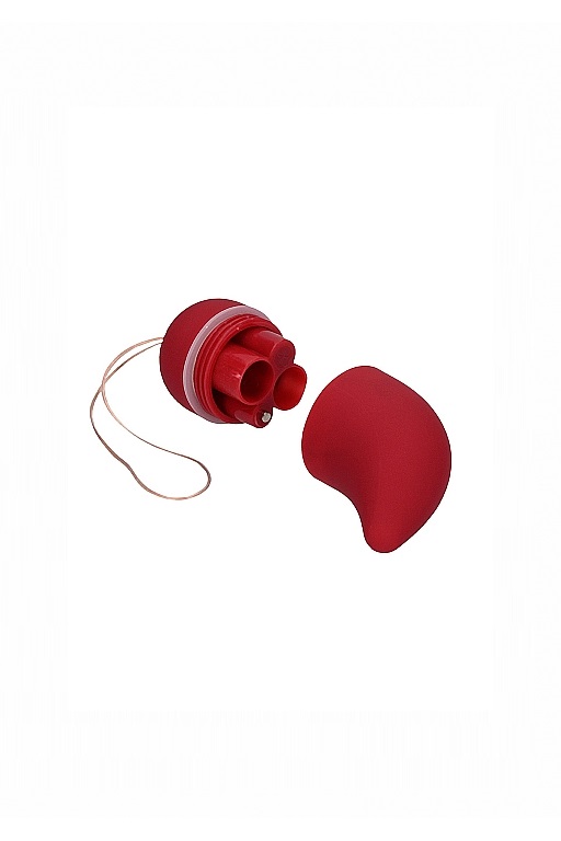 Виброяйцо для стимуляции точки G с пультом управления Small Wireless Vibrating G-Spot Egg в магазине ESEXTOYS
