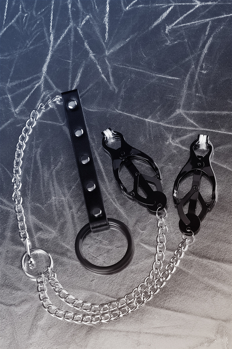 Зажимы для сосков с кольцом для пениса, TOYFA Metal, черные в магазине ESEXTOYS