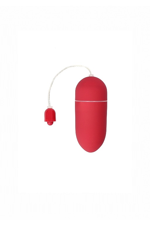 Виброяйцо Vibrating Egg в магазине ESEXTOYS