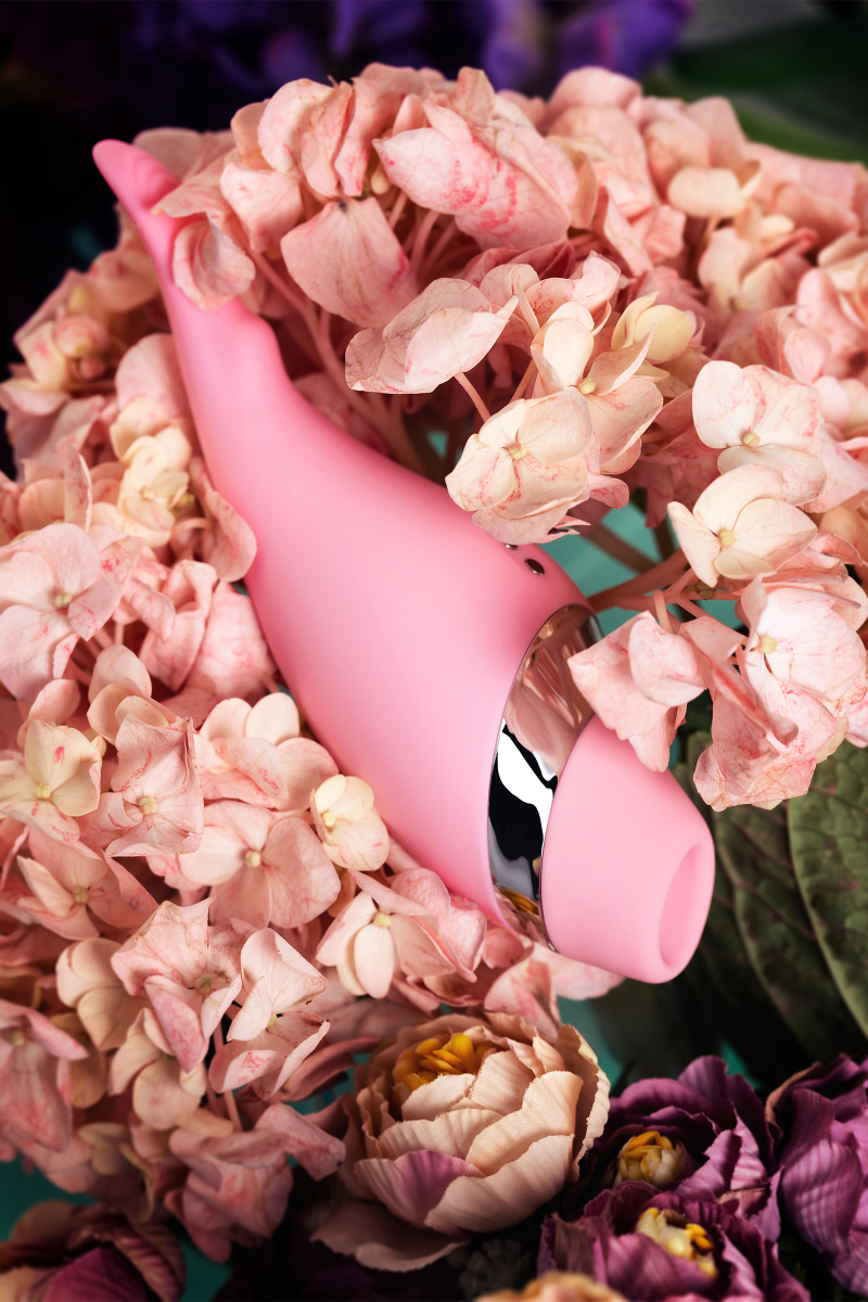 Многофункциональный стимулятор эрогенных зон Flovetta by Toyfa DAHLIA, силикон, розовый, 14 см в магазине ESEXTOYS