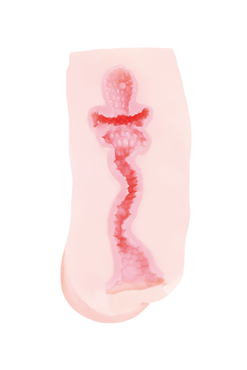 Мастурбатор PPP newnew, TPE, телесный, 15 см в магазине ESEXTOYS