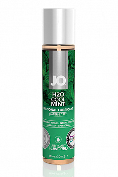Вкусовой лубрикант "Мята" / JO Flavored Cool Mint H2O 1oz - 30 мл. в магазине ESEXTOYS