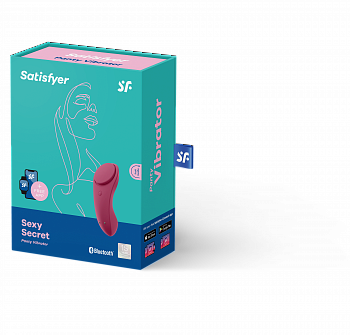 Бесшумный вибромассажер в трусики Sexy Secret в магазине ESEXTOYS